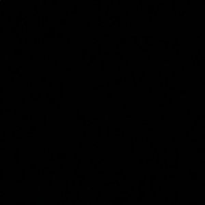 Meet your Posher, Hunter